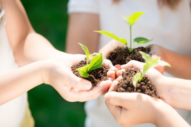 Ilustrasi pembangunan berkelanjutan. Foto: Shutterstock