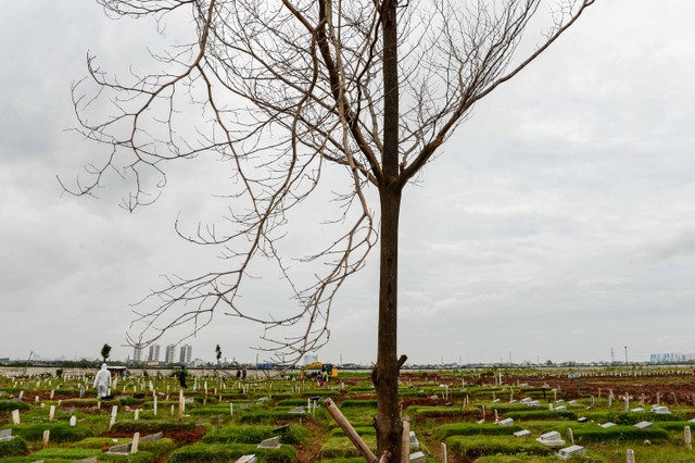 Pemakaman jenazah pasien COVID-19 di TPU Rorotan, Jakarta, Kamis (10/2/2022). Foto: M Risyal Hidayat/ANTARA FOTO