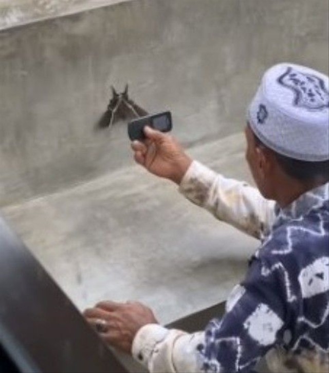 Viral momen seorang bapak-bapak memotret kupu-kupu pakai HP lawas bikin warganet terharu. (Foto: Instagram @makassar_iinfo)