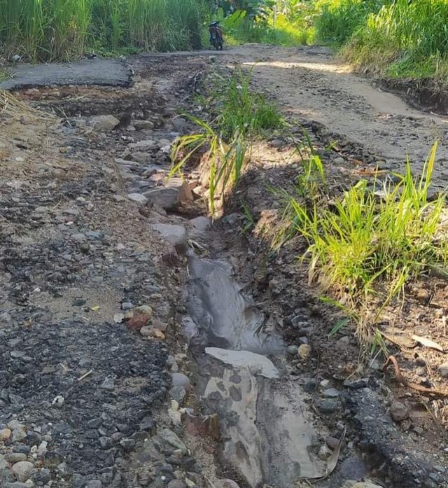 Foto : Salah satu akses jalan di jalur Tengah Lembata yang tampak rusak parah. Foto : T. Aloysius Bestol