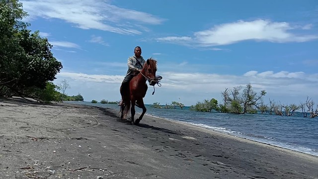 Kuda yang disiapkan untuk pengunjung yang ingin merasakan sensasi berkuda di areal Pantai Pintu Air. Foto : Albert Aquinaldo