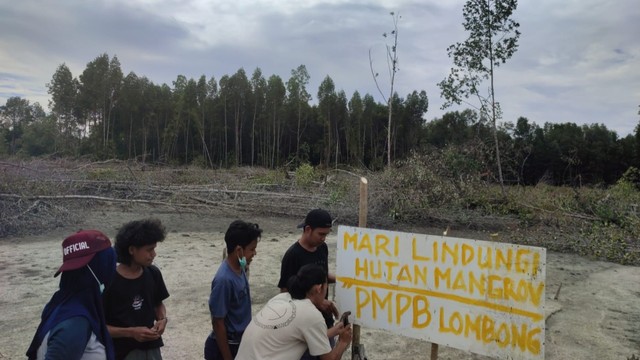 Warga Keluhkan Pembabatan Hutan Mangrove Dijadikan Tambak di Donggala. Foto: Istimewa