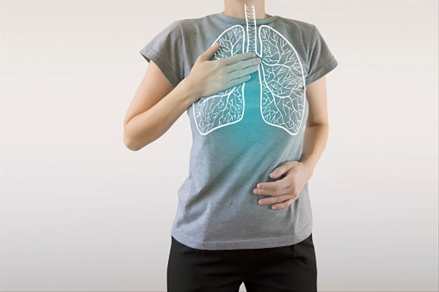 Ilustrasi paru-paru pada manusia. Foto: Pixabay