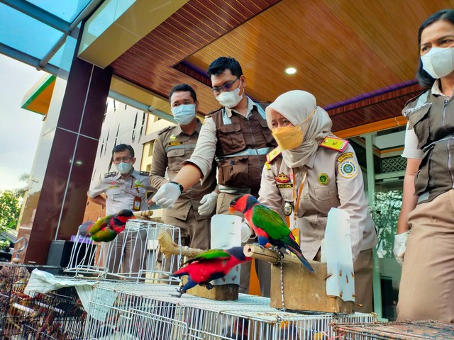 264 Ekor Burung dan Seekor Walabi Gagal Diselundupkan dari Timika ke Surabaya