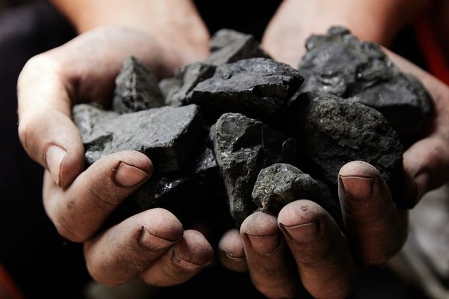 Menggenggam batubara.(Shutterstock/Vladyslav Trenikhin)
