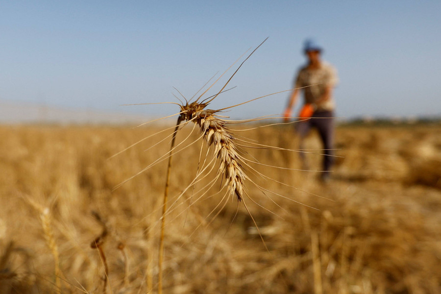 Impor Pertanian Capai USD 7,58 Miliar di Agustus 2024, Didominasi Biji Gandum