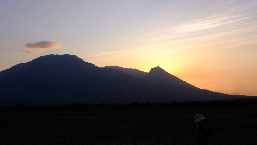 Terekam Kamera: Macan Tutul Melintas di Taman Nasional Baluran - kumparan.com