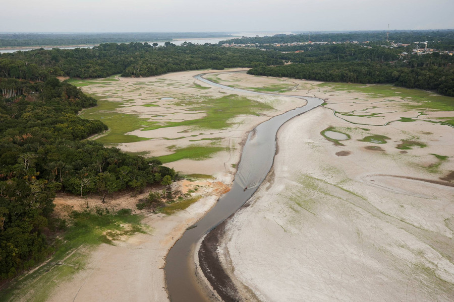 Kekeringan Parah Sungai Amazon Ancam Kesehatan dan Makanan Kolombia - Brasil - kumparan.com