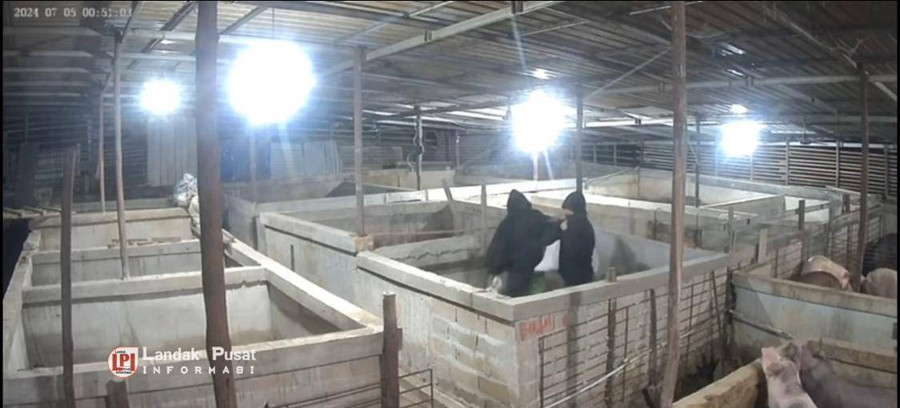 Detik-detik Pelaku Pencurian di Landak Terekam CCTV - kumparan.com