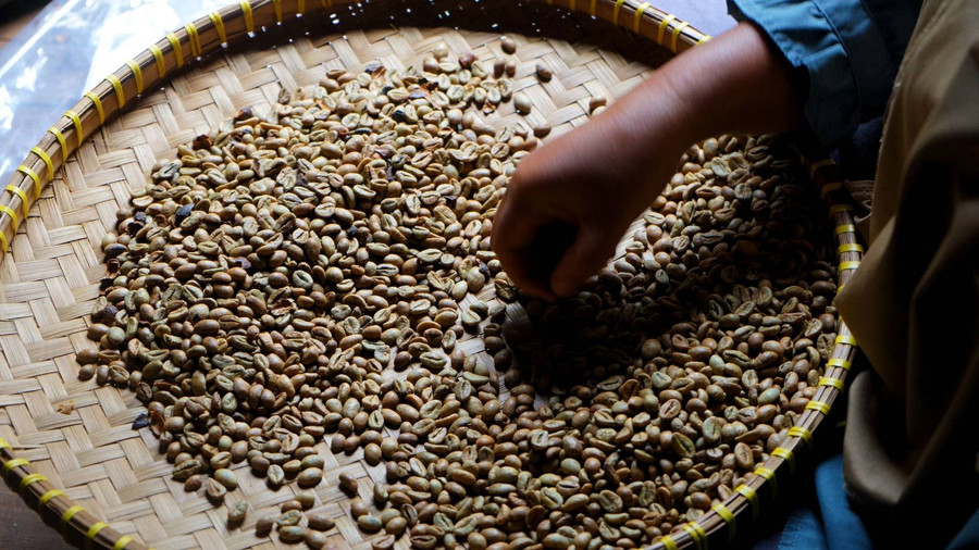 Foto: Pemprov Sumsel Fokus Pengembangan Potensi Kopi Lokal - kumparan.com