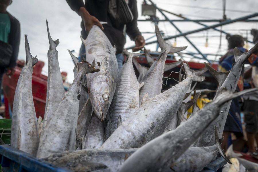 Foto: Aktivitas Nelayan di Tengah Kenaikan Target Produksi Ikan Tahun Ini - kumparan.com