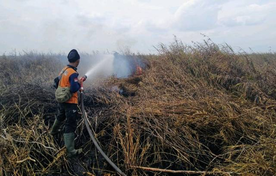 Cegah Karhutla, 5,6 Ton Garam Sudah Ditebar di Langit Sumsel - kumparan.com