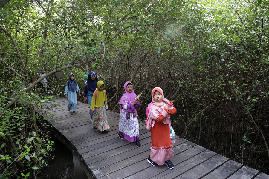 Rayakan HUT ke-1, Kebun Raya Mangrove Surabaya Gelar Berbagai Acara Menarik Ini - kumparan.com