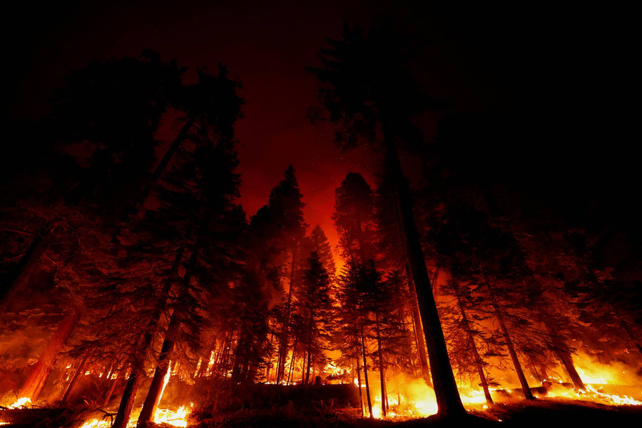 Foto: Lebih dari 422 Ribu Hektare Hutan di California Terbakar - kumparan.com