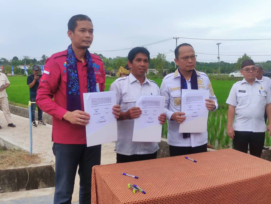 Bank Sumsel Babel Kembangkan Agrowisata di Desa Namang - kumparan.com