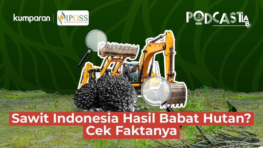 PODCASTLAB: Benarkah Sawit di Indonesia Hasil Babat Hutan? Yuk Cek Faktanya! - kumparan.com