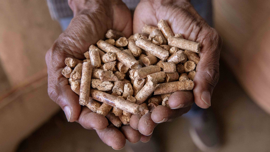 FWI dan BEM Gorontalo Soroti Dugaan Ekspor Wood Pellet Ilegal - kumparan.com