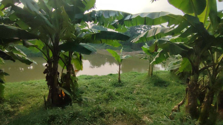 7 Mayat di Kali Bekasi: Geng \'Cikunir All Star\', Minum-minum Alkohol Dulu - kumparan.com