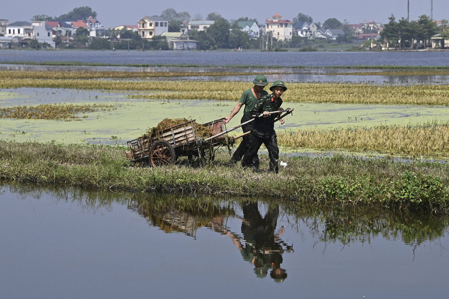 Foto: Aksi Tentara dan Petani Vietnam Selamatkan Hasil Panen Usai Banjir - kumparan.com