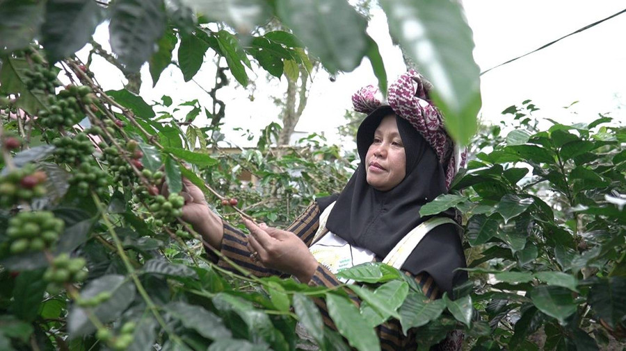 Desa Devisa Tenun, Sagu dan Kopi Gayo Jadi Penggerak Ekspor Indonesia - kumparan.com