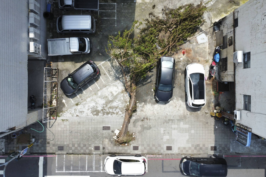 Foto: Lebih dari 2 Ribu Pohon di Taiwan Tumbang Dihantam Topan Krathon - kumparan.com