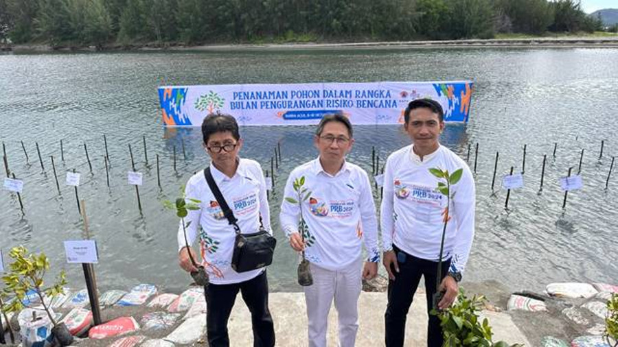 Penjabat Bupati Sitaro Ambil Bagian Tanam 6.000 Mangrove di Peringatan Bulan PRB - kumparan.com