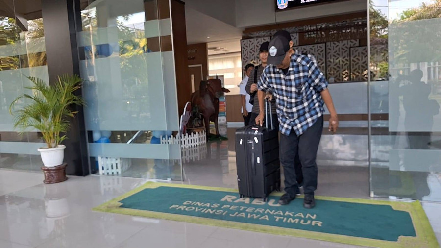 KPK Geledah Dinas Peternakan Jatim Terkait Kasus Dugaan Korupsi Dana Hibah - kumparan.com