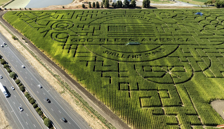 Foto: Melihat Labirin Kebun Jagung di California, Terbesar di Dunia - kumparan.com