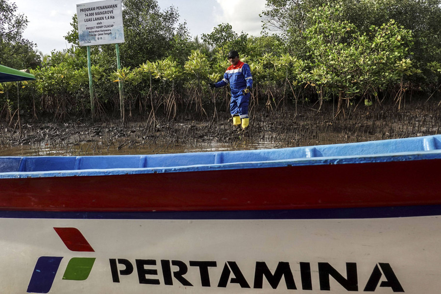 Foto: PT KPI Project Cilacap Konservasi Mangrove di Segara Anakan, Cilacap