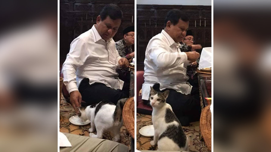 Bobby The K4t Ikut ke Istana Bareng Prabowo - kumparan.com