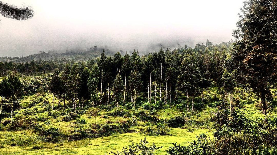 Naomi, Pelajar Asal Semarang yang Hilang di Gunung Slamet, Ditemukan - kumparan.com