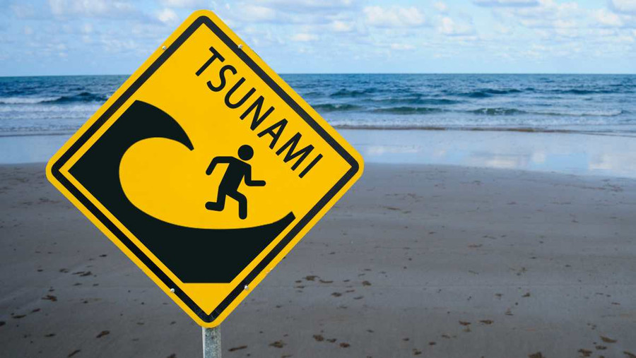 Tsunami di Prefektur Miyazaki Jepang, Kemlu Pastikan Tak Ada WNI Jadi Korban - kumparan.com