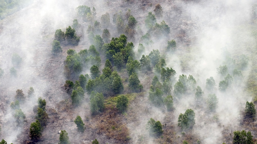 Pasien Rumah Sakit Anak Dievakuasi Imbas Kebakaran Hutan di Yunani - kumparan.com