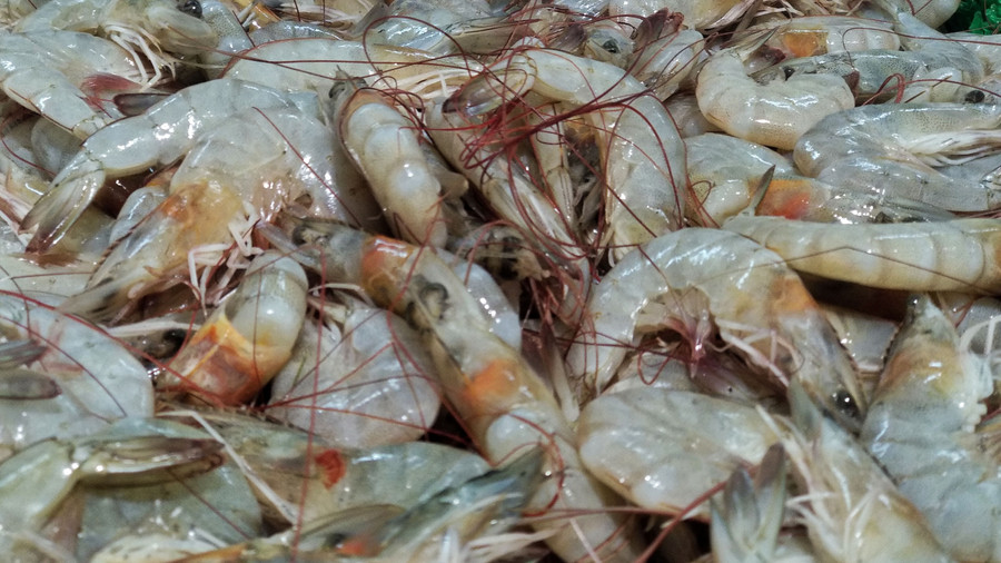 KKP: Tarif Anti-Dumping Udang ke AS Turun Jadi 3,9 Persen - kumparan.com