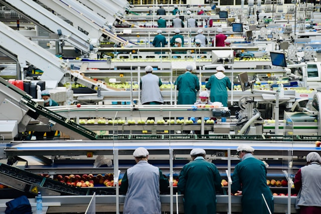 7 Prinsip Dasar HACCP yang Perlu Dipahami