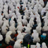 Penerimaan Siswa Baru