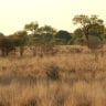 Afrika Selatan