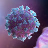 Virus Corona di Indonesia