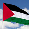 Warga Depok Pasang Bendera Palestina