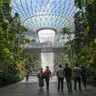 Bandara Changi