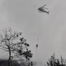 TPA Rawa Kucing Terbakar