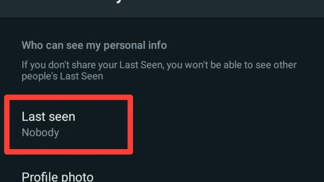Cara Agar WA Terlihat Offline Padahal Online