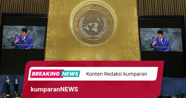 Prabowo di PBB: Kami Targetkan Reboisasi 12 Juta Hektare Hutan di RI