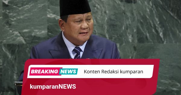 Prabowo Pamer RI Swasembada Beras di PBB: Bakal Sediakan Beras untuk Palestina