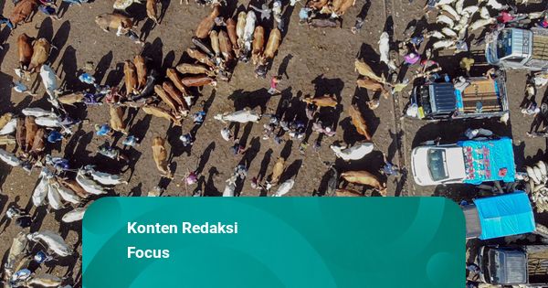 Konten IG: Ragam Idul Adha 2026
