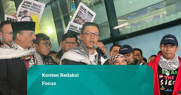 Konten TikTok: Saat Aktivis GSF Pulang, Disambut Menlu sampai 'Free Palestine'