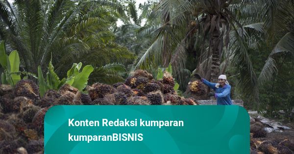 Mulai 1 Juni, Eksportir Wajib Tempatkan 100% DHE SDA di Sistem Keuangan RI