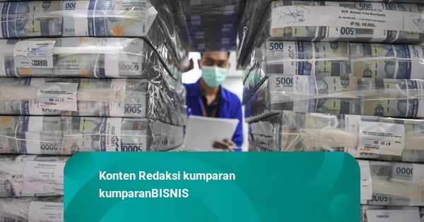 Cadangan Devisa Kian Menyusut, Ekonom Ingatkan Dampaknya ke Stabilitas Pasar RI