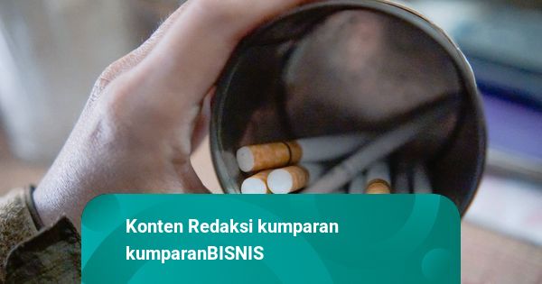RI Berpotensi Kehilangan Rp 25 T Tiap Tahun Akibat Peredaran Rokok Ilegal