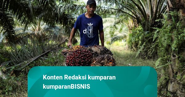 Perusahaan di Malaysia Mulai Ubah Lahan Sawit Jadi Kawasan Industri Pusat Data